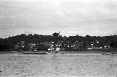 Village on the wooded Danube bank near Novi Sad seen from the river, about 1937 to 1950