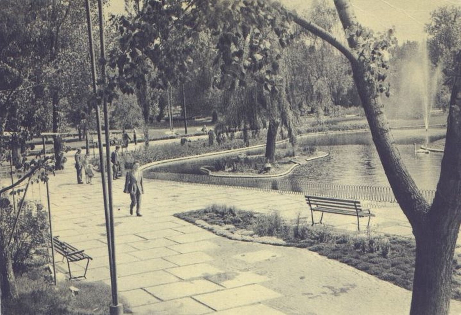 The fountain in the pond, Danube Park, Novi Sad, 1958