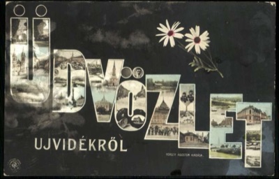 Greetings From Novi Sad Spelled in Photographs, With Pressed Daisies, by July 1905