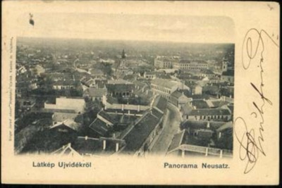 Panorama of the City, a Road Curving Through the Rooftops, Novi Sad, by August 1901