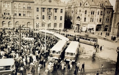 Trams and buses together on the main square, Liberty Square, Novi Sad, 1958