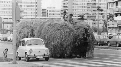 A hay cart on the boulevard at Liman, Novi Sad, 1985