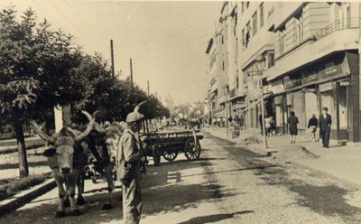 The Boulevard, Novi Sad, 1940–1960