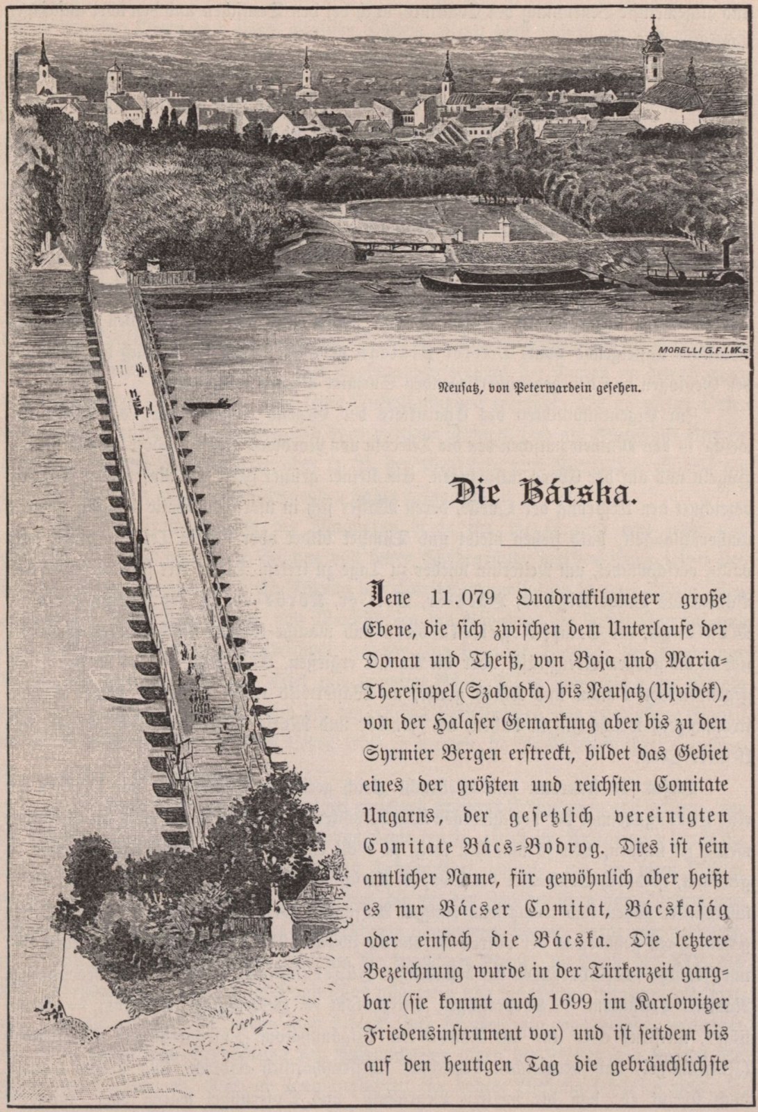 Neusatz seen from Peterwardein, Pontoon Bridge, Novi Sad, 1883