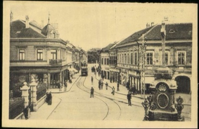 A Novi Sad street corner near Vladičin dvor, Dunavska Street, 1919–1941