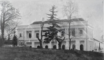 The count's manor behind its conifers, The Marczibányi-Karácsonyi Palace, Sremska Kamenica, late nineteenth or early twentieth century
