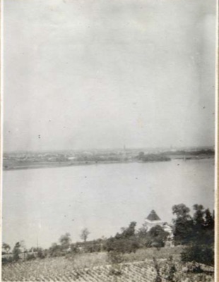 Novi Sad Across the Danube, Above a Ploughed Vineyard Slope, Sremska Kamenica, 1917